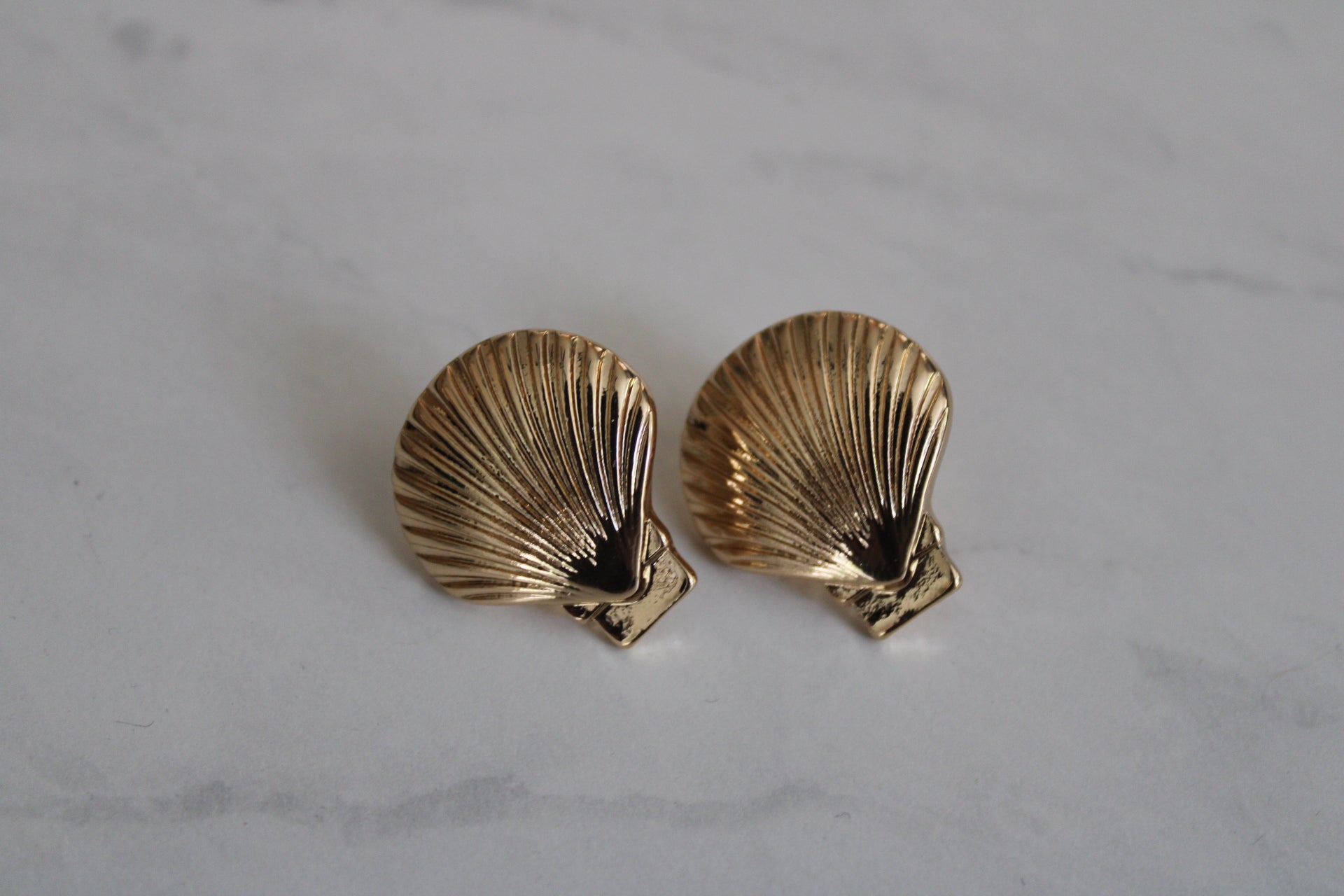 Seashell earrings